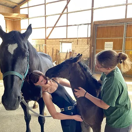 مزرعة للإقامة & Reitschule Fuchsenhof Seebarn