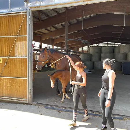 & Reitschule Fuchsenhof مزرعة للإقامة