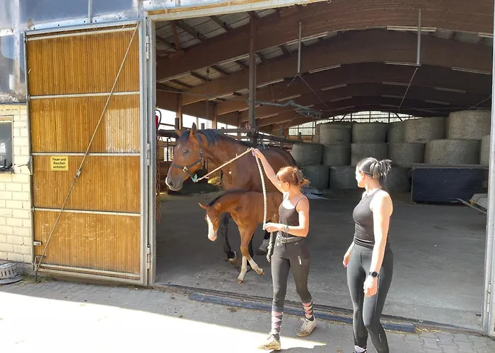 & Reitschule Fuchsenhof Vakantieboerderij