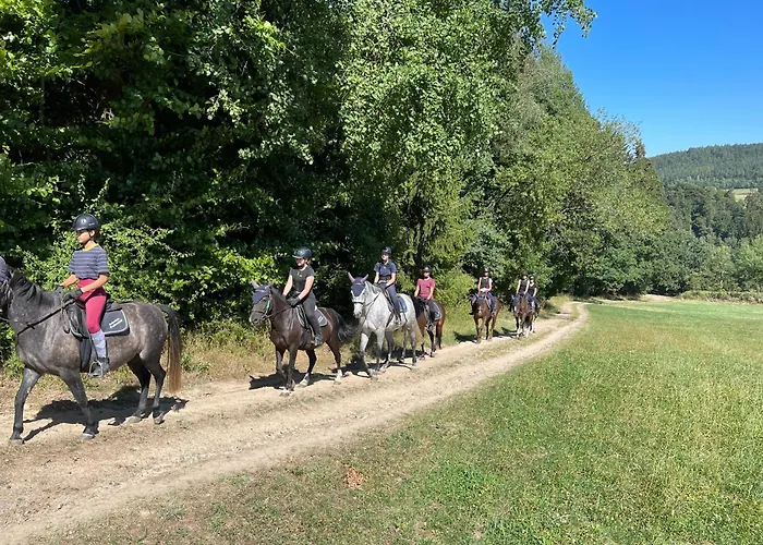 & Reitschule Fuchsenhof Vakantieboerderij *