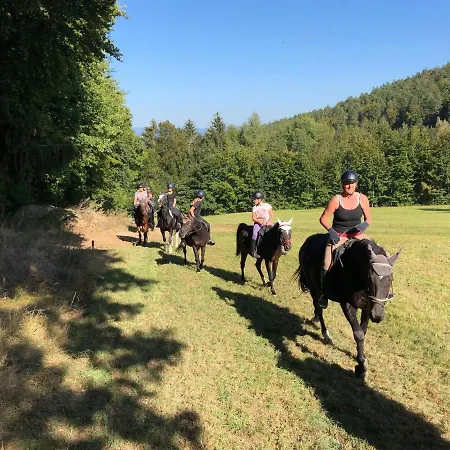Pension&reitschule Fuchsenhof