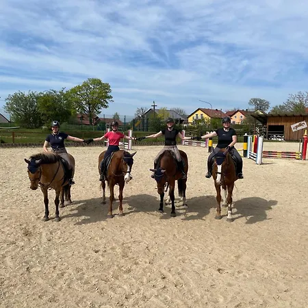 & Reitschule Fuchsenhof * Seebarn