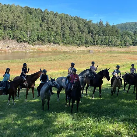 ファームステイ & Reitschule Fuchsenhof